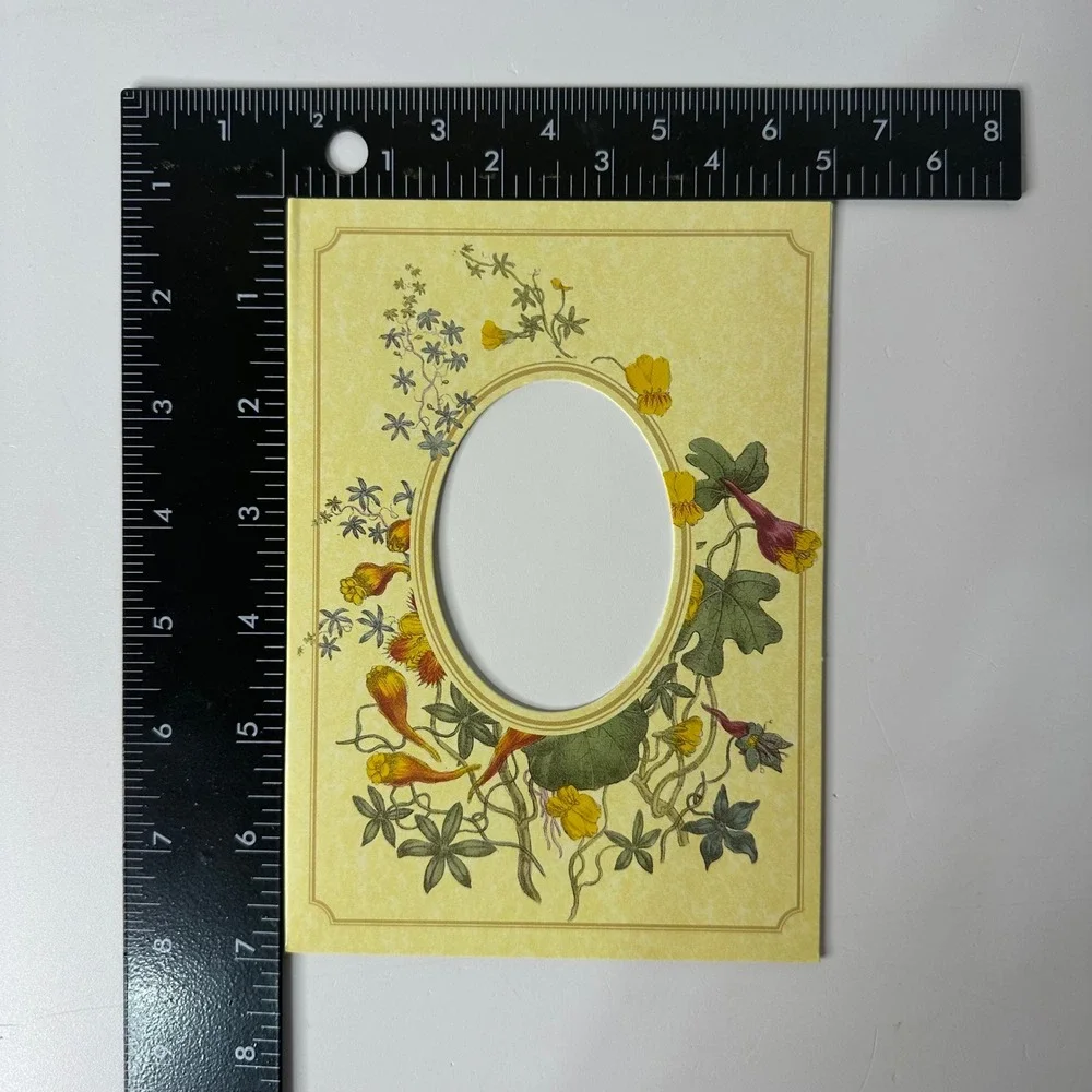 Vtg Classic Floral Gift Set Photo Album & 6 Cardstock Frames Envelopes Cottage